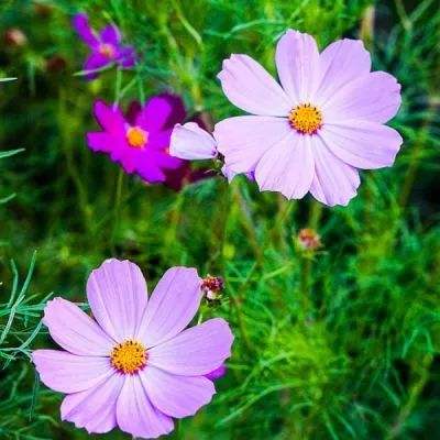 易火棋牌app下载